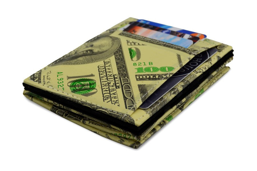 Pegasus Dollar Magic Coin Wallet